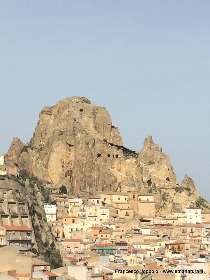 stello di Gagliano Castelferrato-31-01-2016 08-36-39